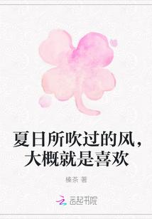 夏日所吹过的风,大概就是喜欢