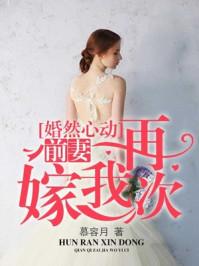 婚然心动:前妻再嫁我一次尹向晚靳夜擎