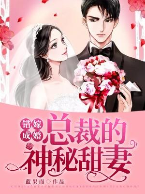 错嫁成婚:总裁的神秘甜妻叶梓晴沈少廷