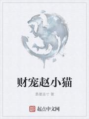 财宠赵小猫