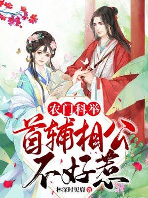 农门科举:首辅相公不好惹