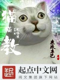 猫猫教必将一统瓦洛兰!