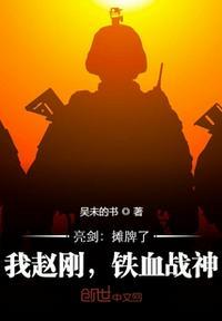 亮剑:摊牌了,我赵刚,铁血战神赵刚