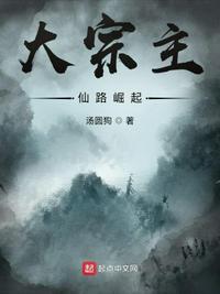 大宗主:仙路崛起宁正