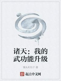 诸天:我的武功能升级张毅