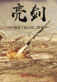 亮剑:我成了独立团二营长沈泉