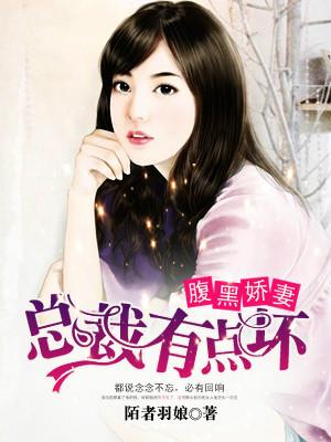 腹黑娇妻:总裁有点坏