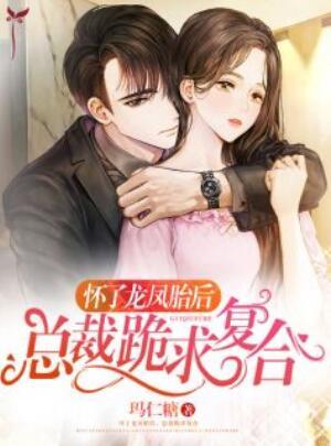 怀了龙凤胎后,总裁跪求复合