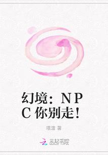 幻境:NPC你别走!