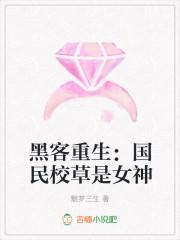 黑客重生:国民校草是女神