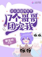 功夫萌崽四岁半,17个哥哥团宠我