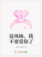 夏风杨,我不要爱你了