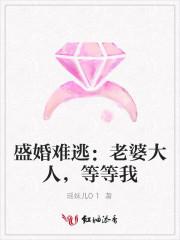 盛婚难逃:老婆大人,等等我