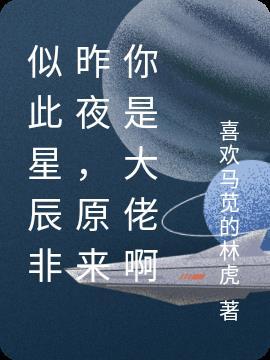 似此星辰非昨夜,原来你是大佬啊