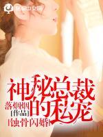 蚀骨闪婚:神秘总裁的私宠叶栗