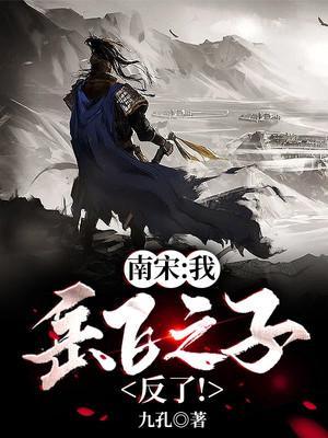 南宋:我,岳飞之子!反了!