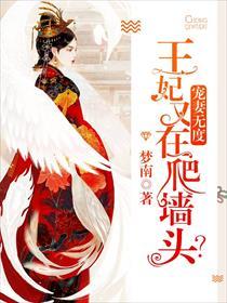 宠妻无度,王妃又在爬墙头?