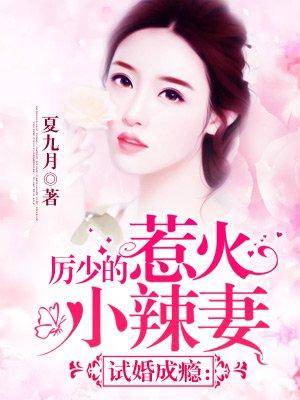 试婚成瘾:厉少的惹火小辣妻