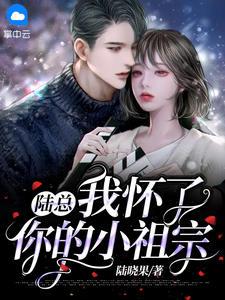 陆总,我怀了你的小祖宗