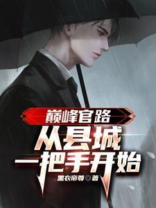 巅峰官路:从县城一把手开始