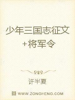 少年三国志征文将军令