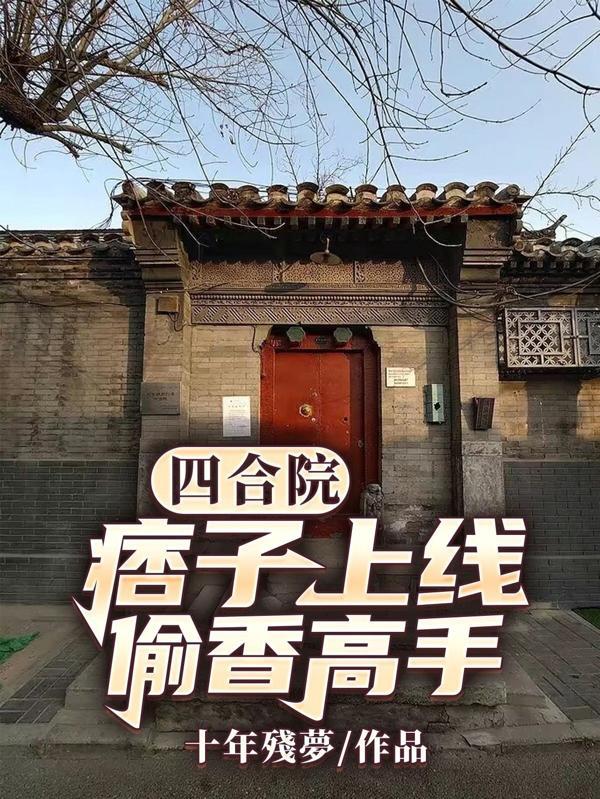 四合院:痞子上线,偷香高手