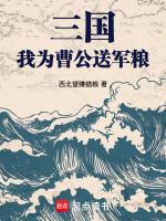 三国:我为曹公送军粮