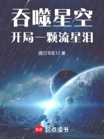 吞噬星空:开局一颗流星泪