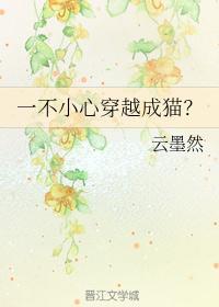 一不小心穿越成猫?
