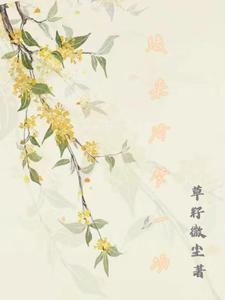 另一个宇宙的我:双生轮回梦