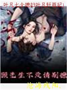 叶凡七个媳妇叶凡轩雨妃