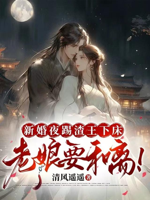 新婚夜踢渣王下床,老娘要和离!