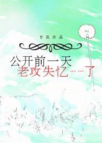 公开前一天,老攻失忆了