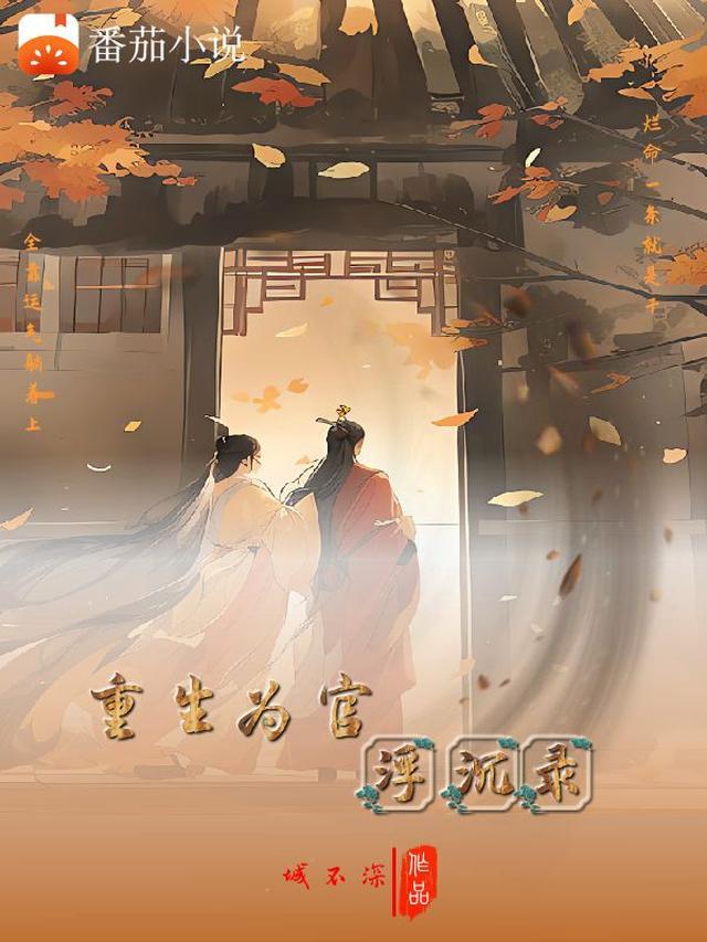 重生为官:浮沉录