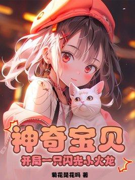 神奇宝贝:开局一只闪光小火龙
