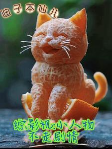 综影视:小人物不走剧情