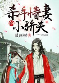 杀手懵妻的小骄夫(重生)