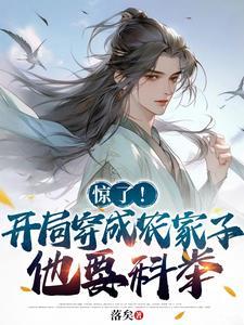 农家子的科举逆袭:智冠天下