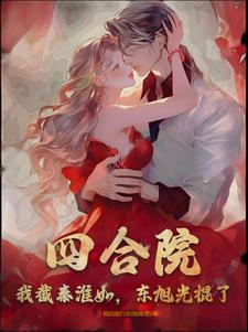 四合院:我截秦淮如,东旭光棍了