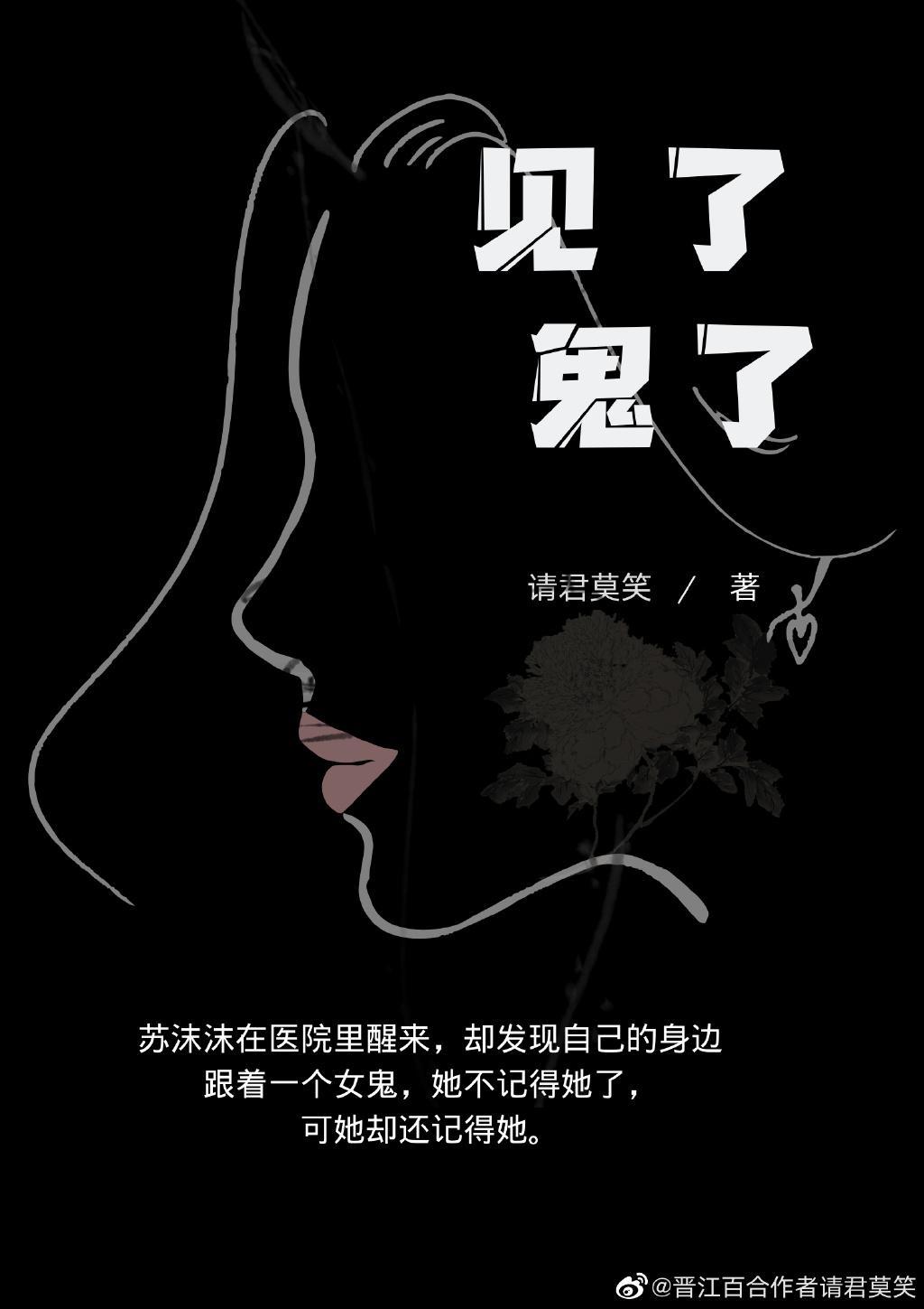 我的游魂小姐