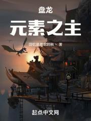 盘龙:元素之主
