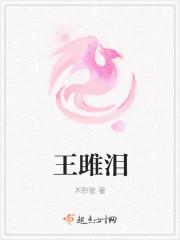 小说叶辰苏雨涵