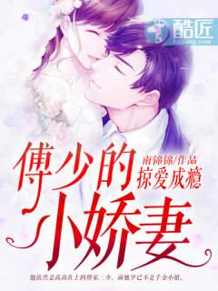 掠爱成瘾:傅少的小娇妻又名:情深意动:傅少宠入骨