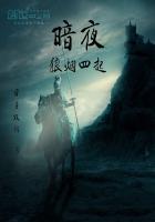 暗夜:狼烟四起