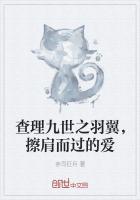 查理九世之羽翼,擦肩而过的爱