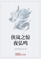 侠岚之惊夜弘鸣
