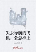 失去导航的飞机,会怎样上
