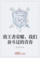 致王者荣耀,我们奋斗过的青春