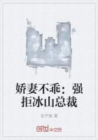 娇妻不乖:强拒冰山总裁