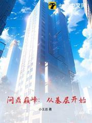 问鼎巅峰:从基层开始